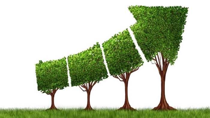 چهار درخت شبیه فلش صعودی