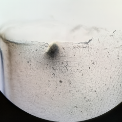 کیت Coaxial
